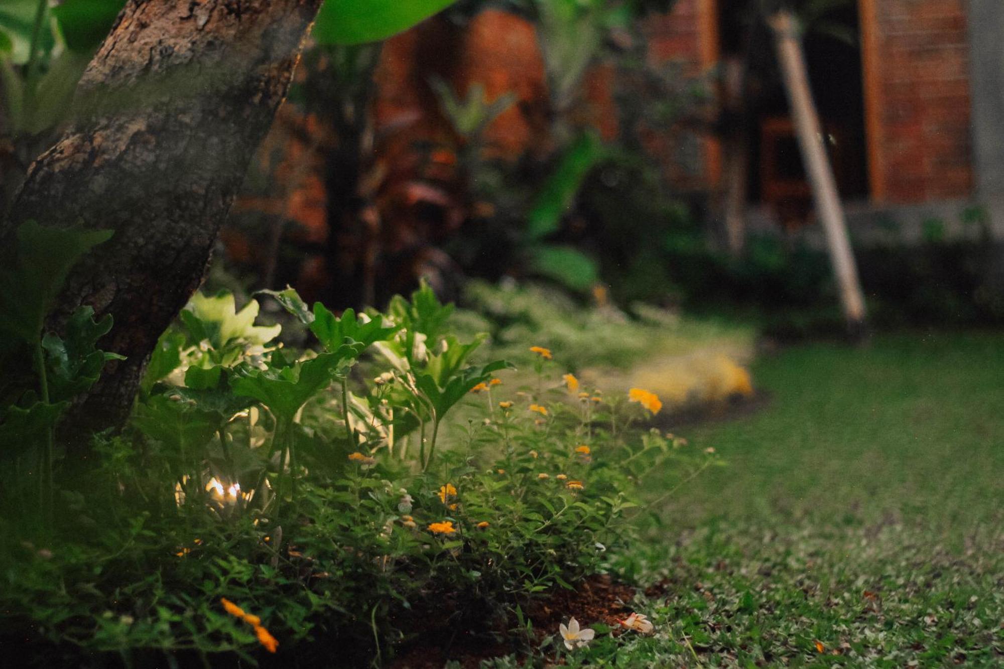Govardan Home Stay Canggu Екстериор снимка